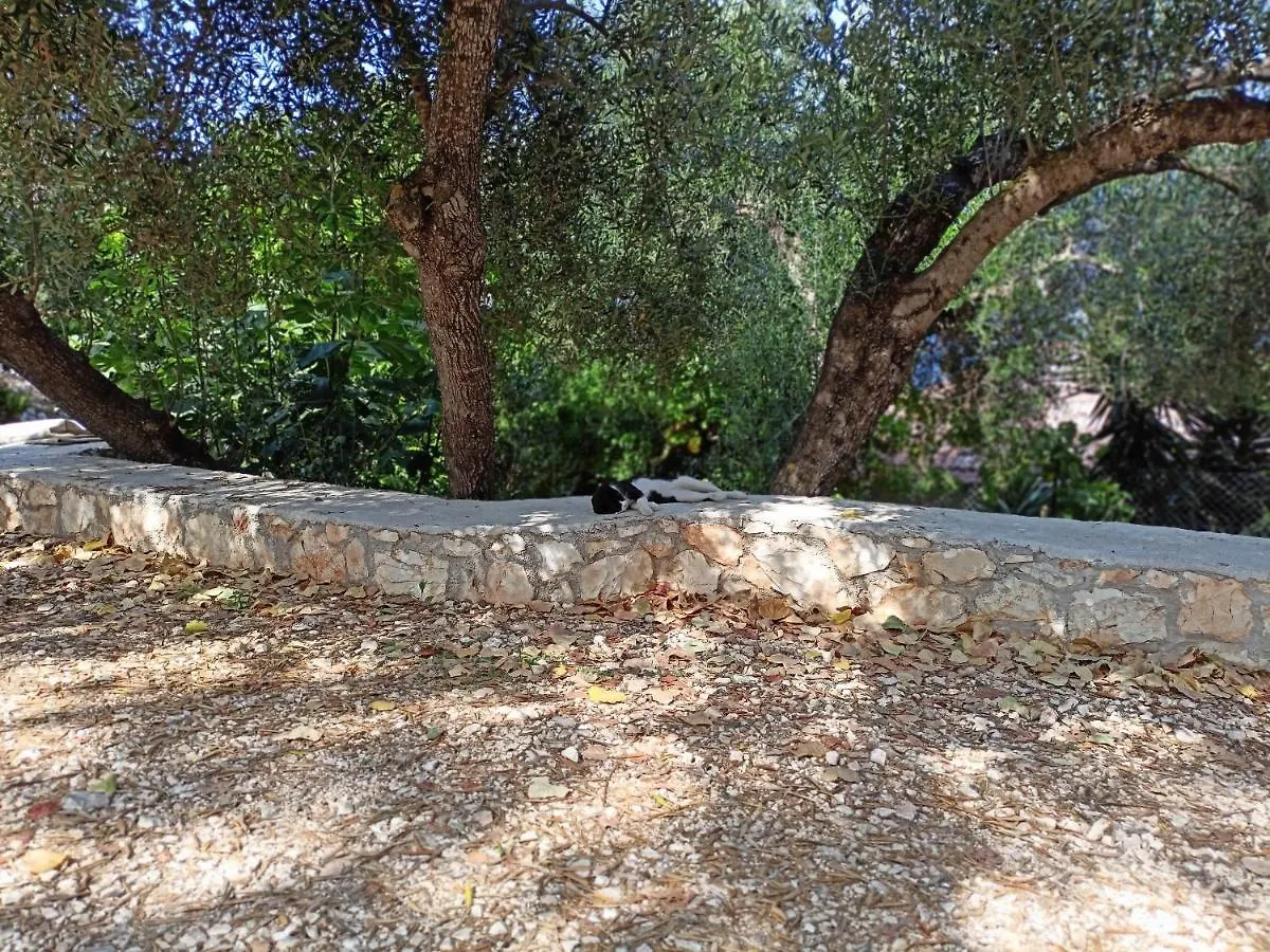 Kaminakia Apartments - Adults Only Policy - Delve Into This Little Oasis Where Peace And Quiet Reign Supreme - Sheltered By An Evergreen Cypress Forest - Offering A Large Swimming Pool Exclusively For Guests' Use And Breathtaking Sea Views From Every Fiskardo
